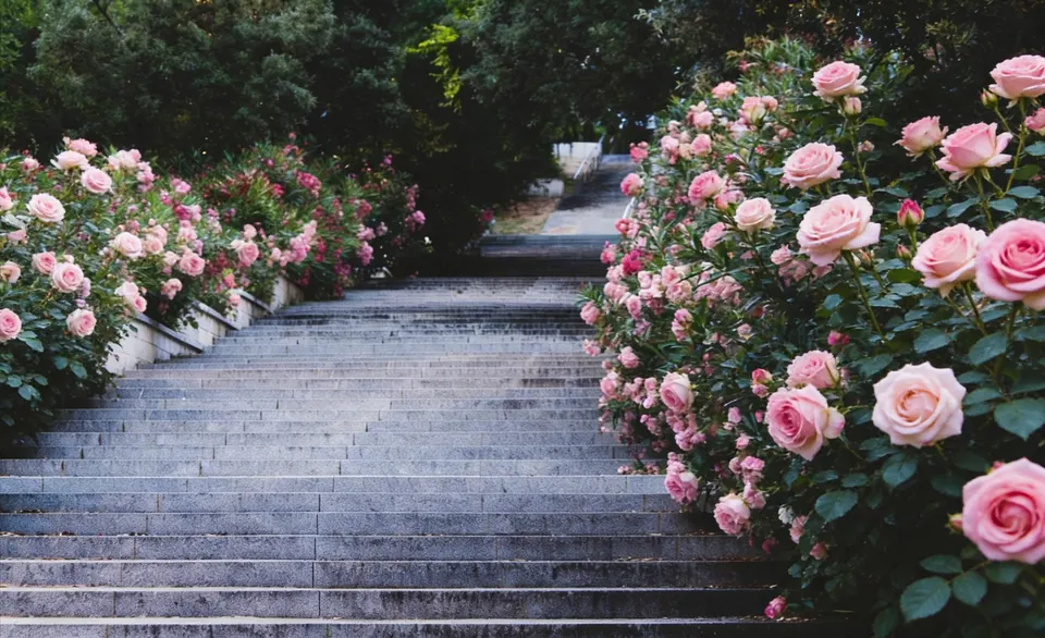 freepik__talk__41207.png