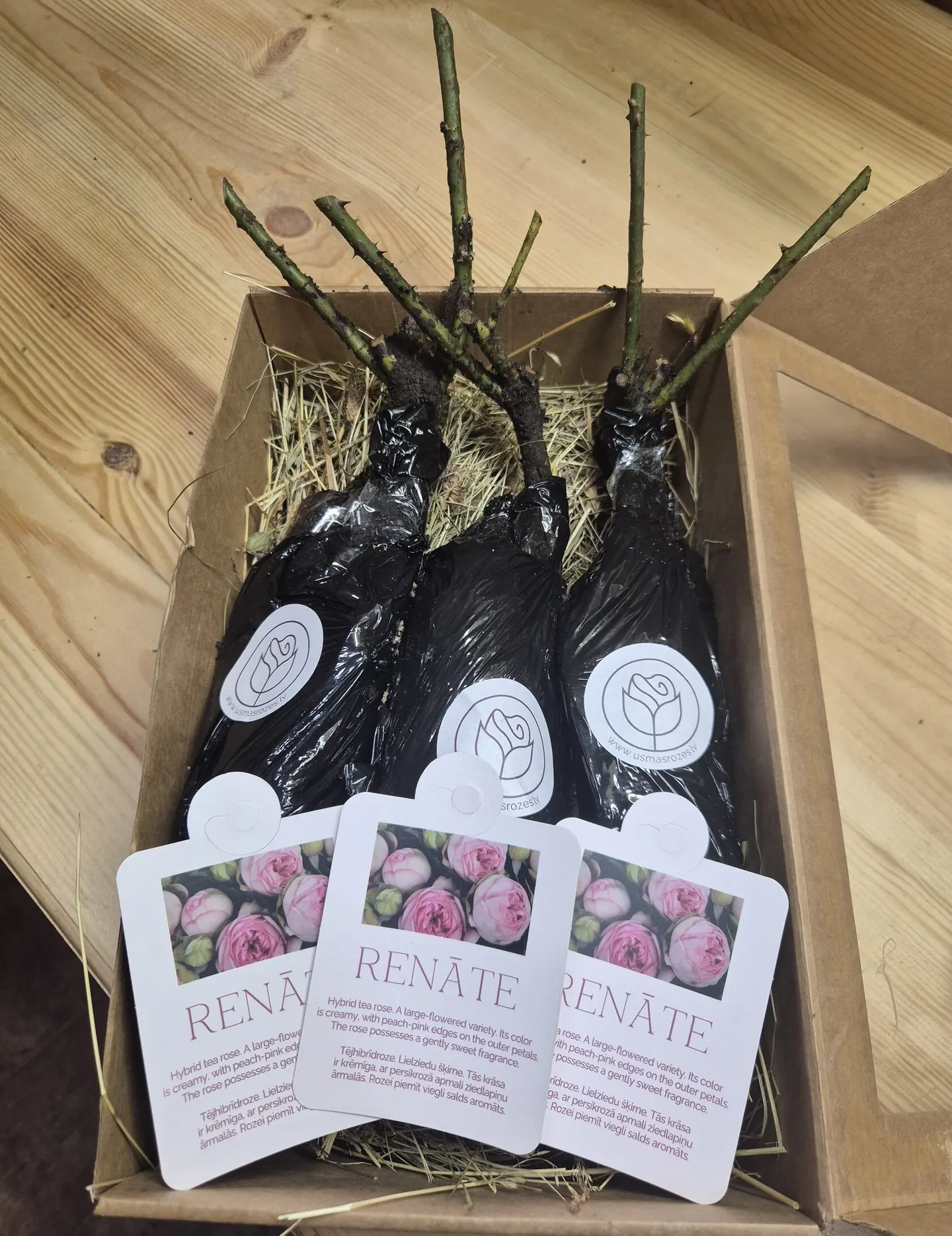 Renāte