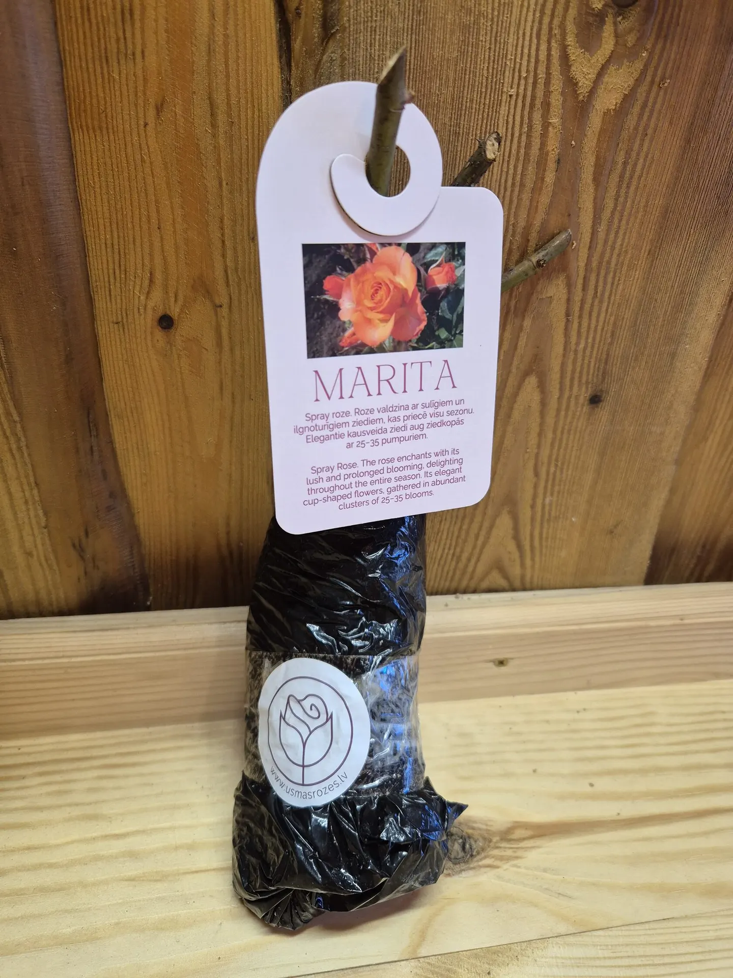 Marita