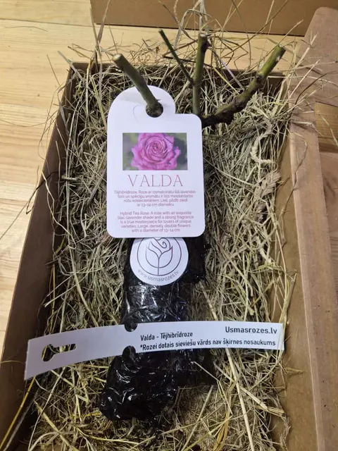 Valda