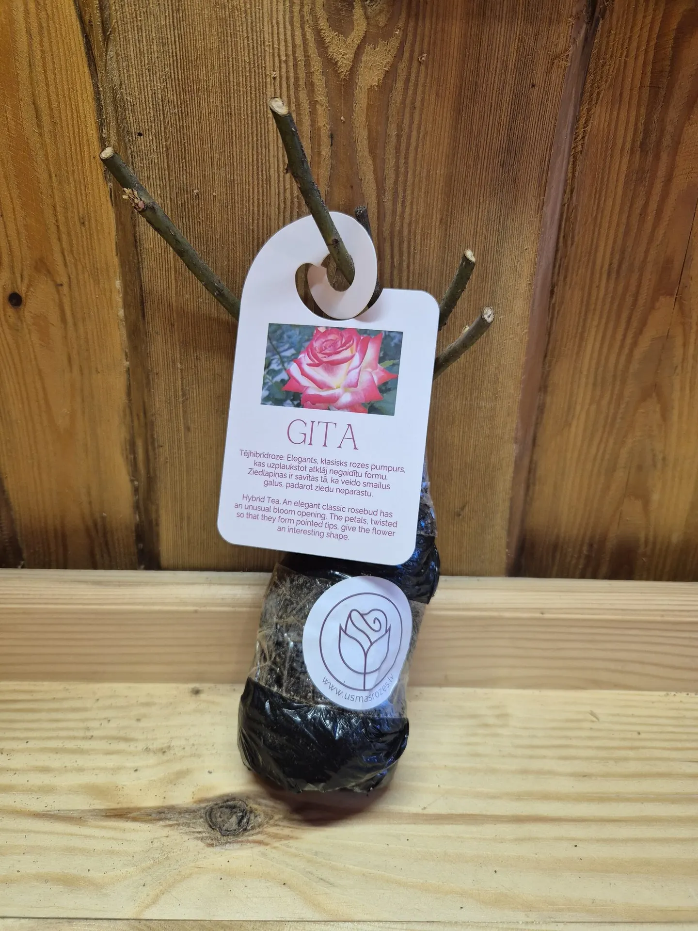 Gita