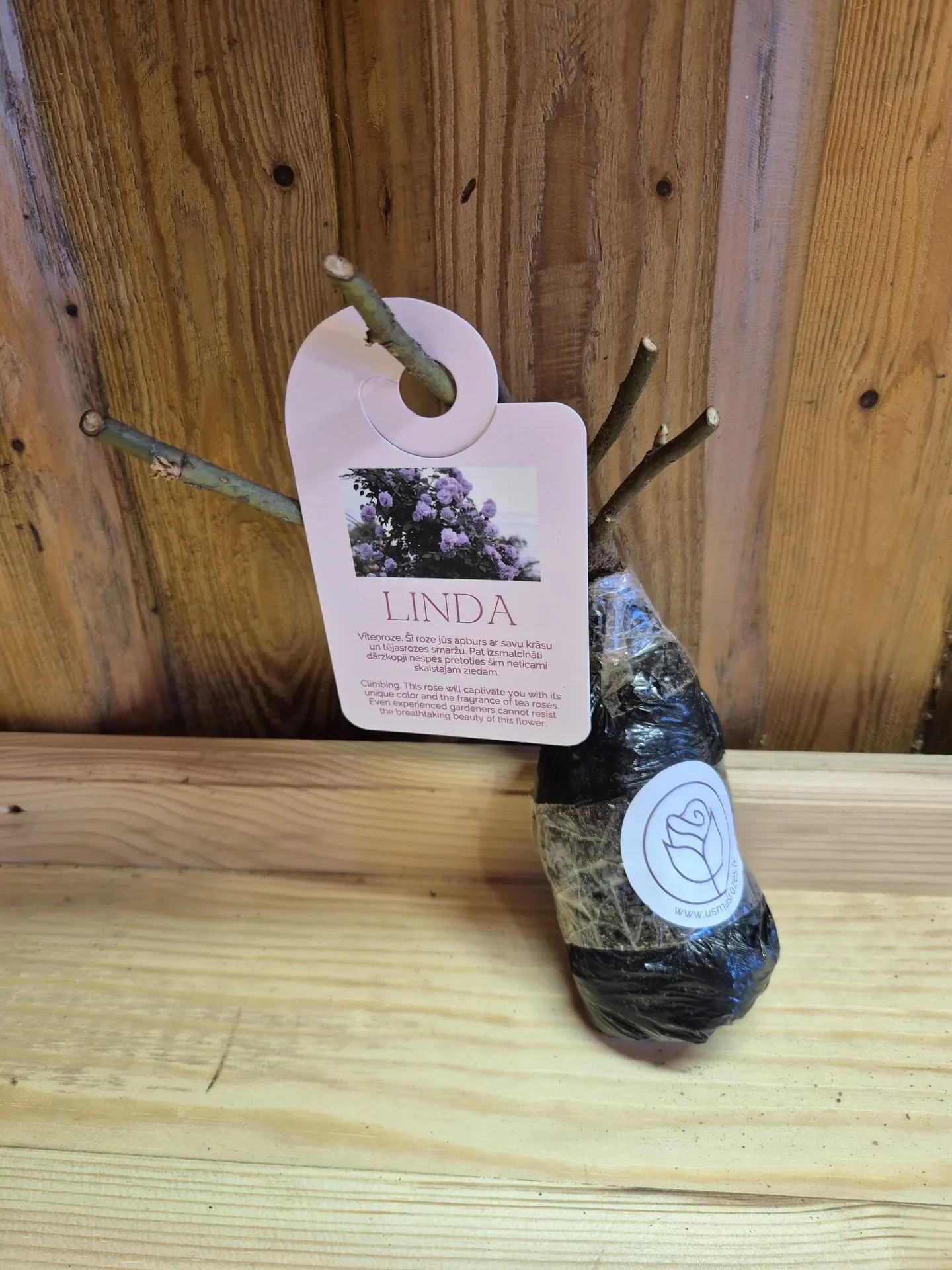 Linda