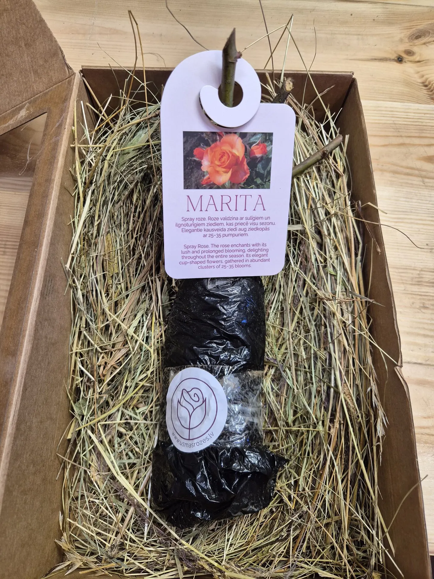 Marita