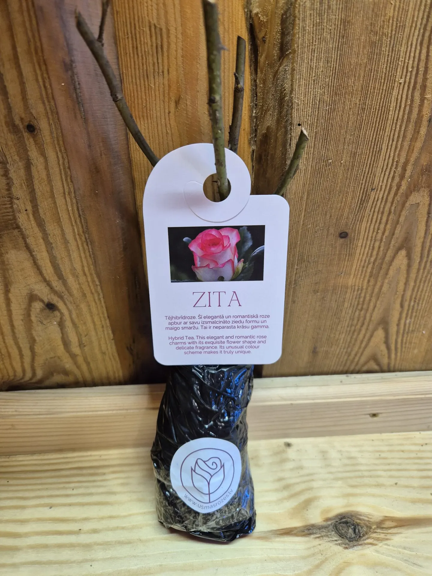 Zita