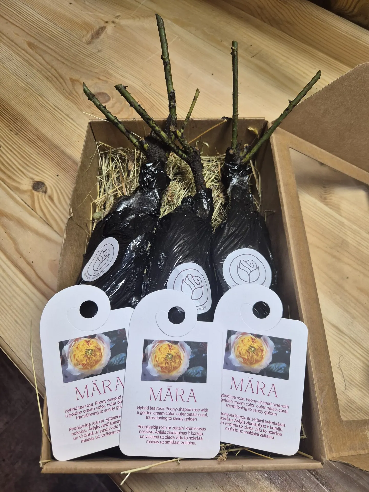 Māra